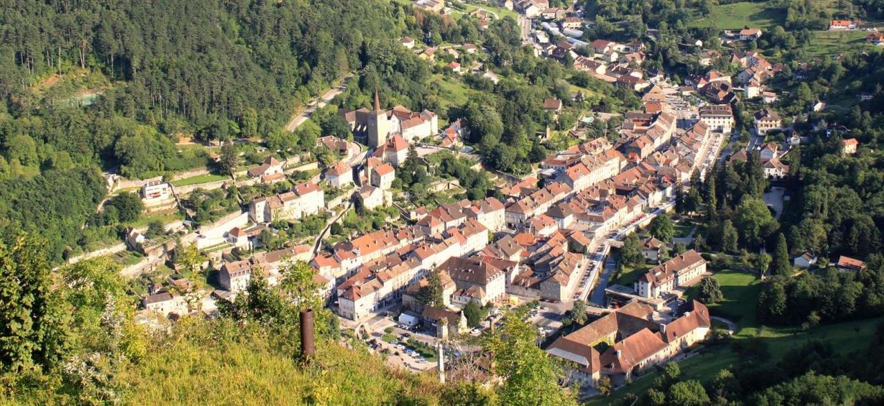 Appart Hotel Charles Sander Salins-les-Bains Esterno foto