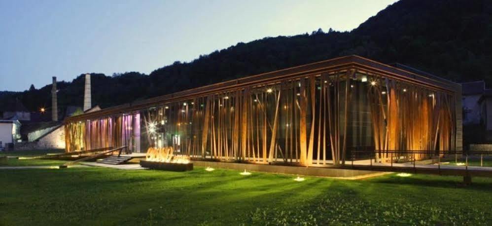 Appart Hotel Charles Sander Salins-les-Bains Esterno foto